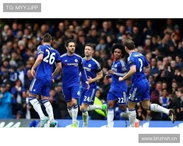 布莱顿海鸥本赛季表现稳健，竞争力持续提升