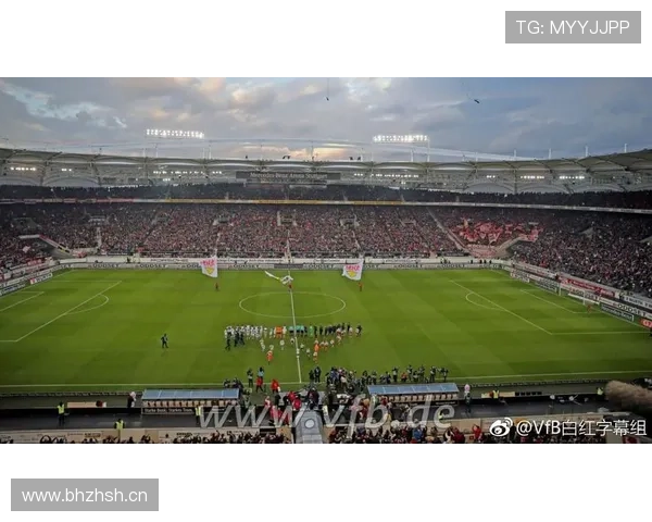 德甲VfB斯图加特